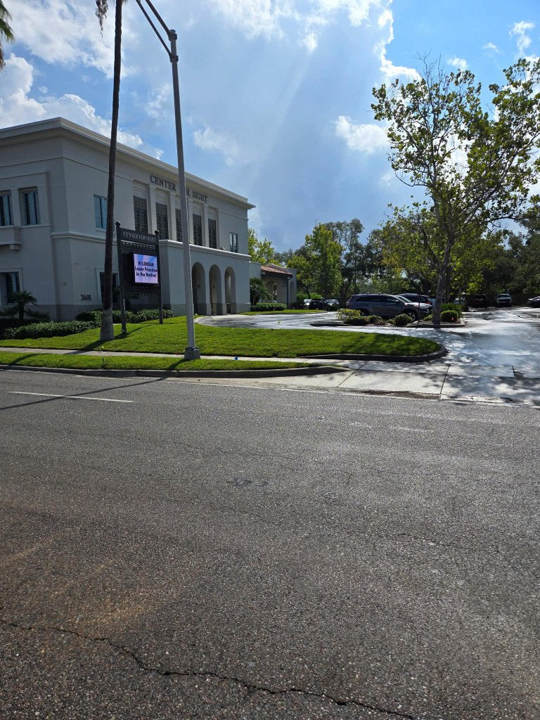 Freshly installed sod bordering a commercial sidewalk