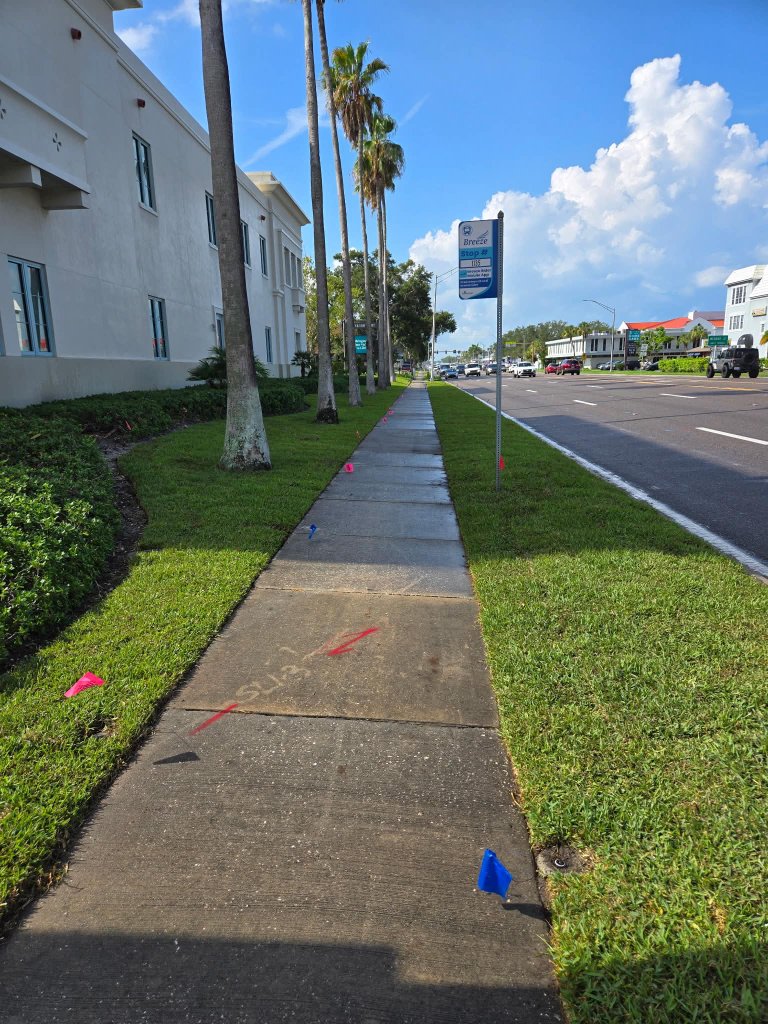 Commercial corridor sod project
