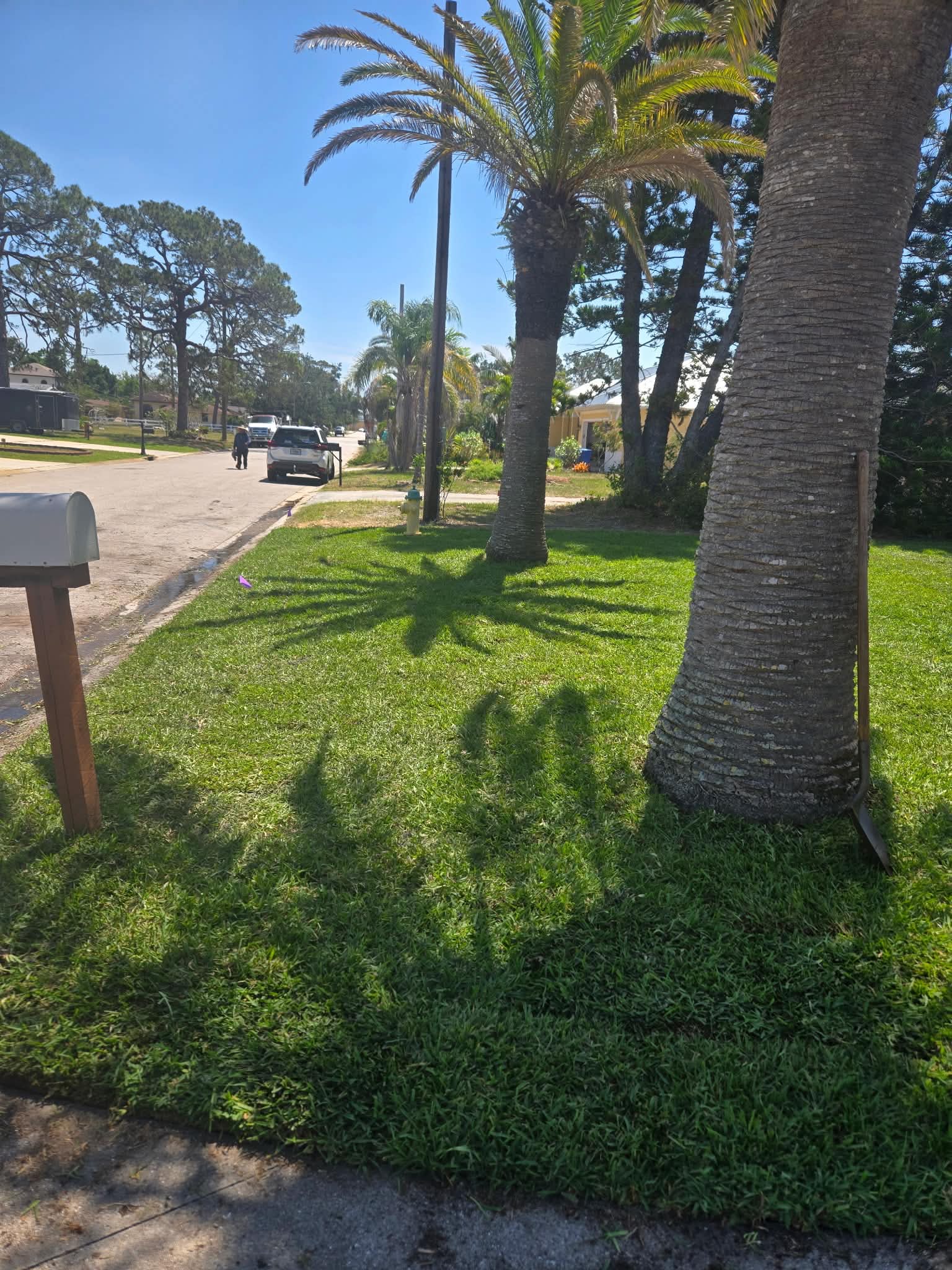Completed street-side sod installation